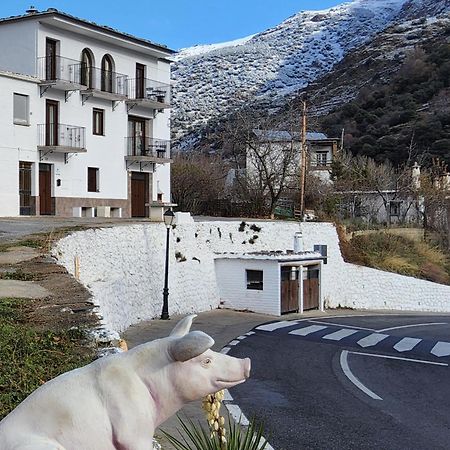 Alojamiento Rural Casa Clara La Pescaora Trevélez Dış mekan fotoğraf